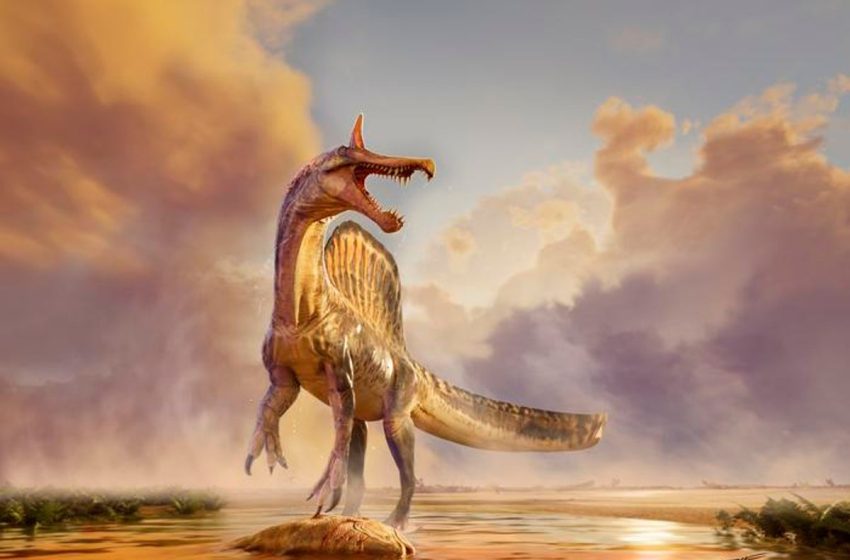  Horned ‘hell heron’ fossil found in Sahara upends what we knew about iconic Jurassic Park dinosaur
