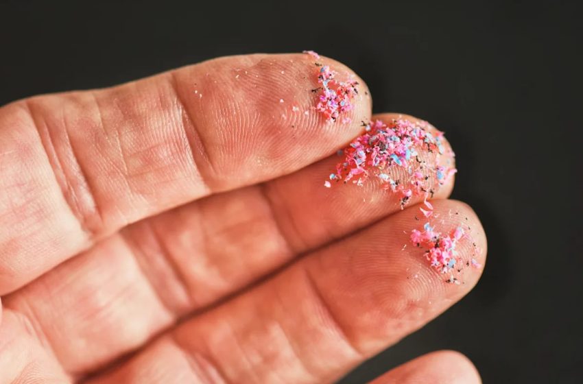  Scientists are pushing back on warnings that microplastics damage your health, saying people are just obese and calling some studies ‘a joke’