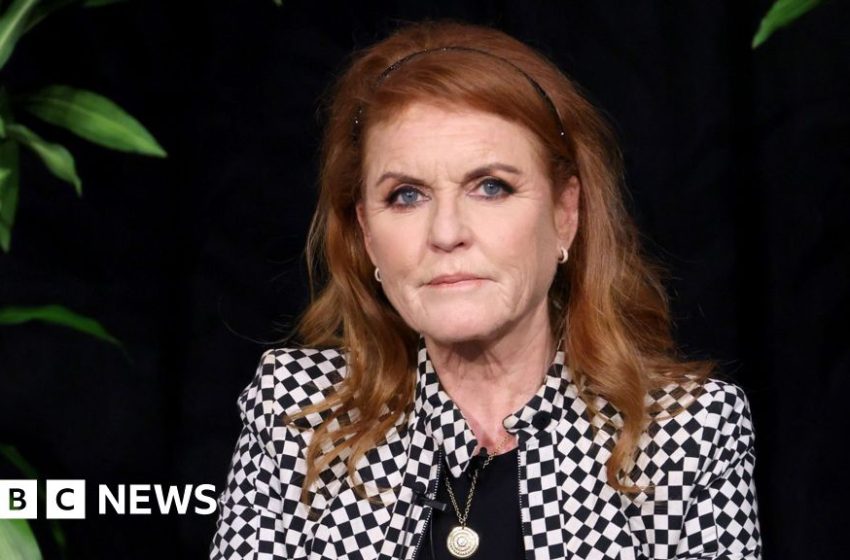  Sarah Ferguson emails to Epstein show increasing desperation – BBC