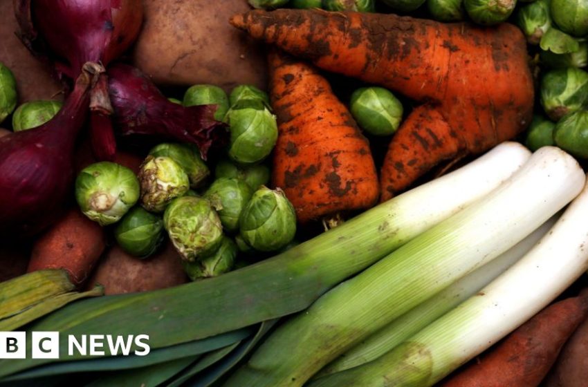  Vegetarian diet lowers risk of cancer, study finds – BBC