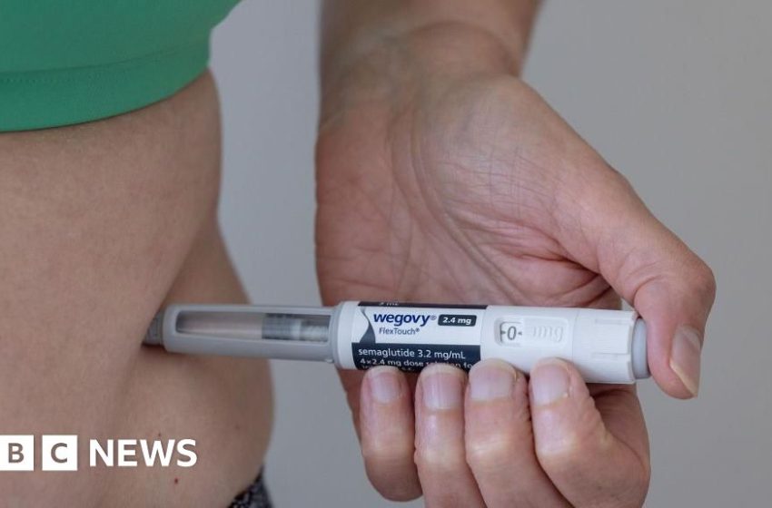  Wegovy maker warns of 'painful' price cuts as shares plunge – BBC