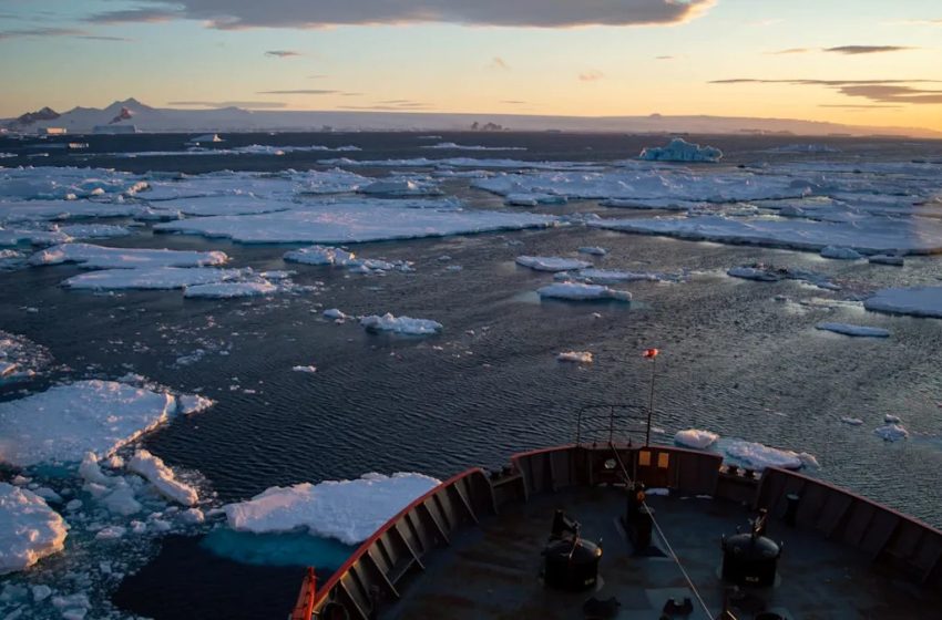  Scientists stunned after making grim Antarctic discovery: ‘We were very surprised’