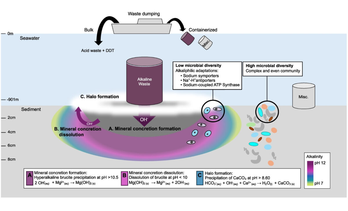 Environmental Impacts Of Alkaline Waste Disposal.