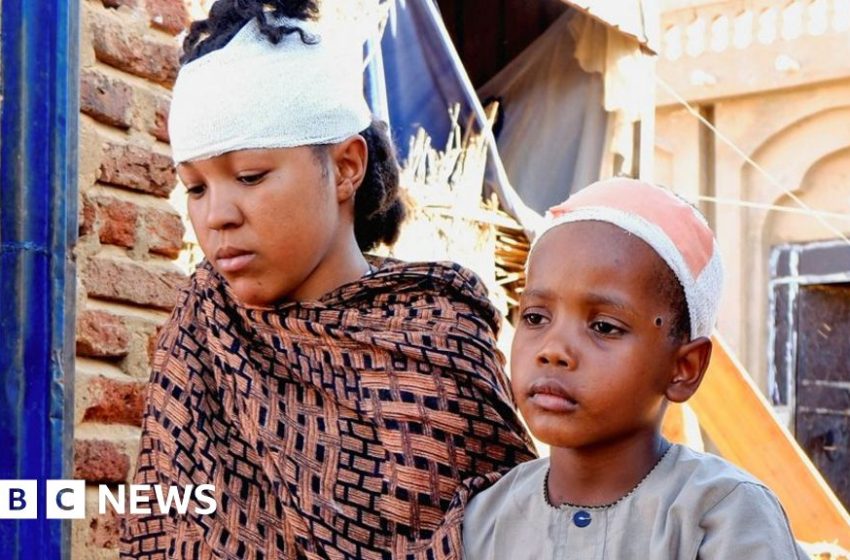  Kordofan drone strikes: Sudan's pivotal new front line as truce remains elusive – BBC