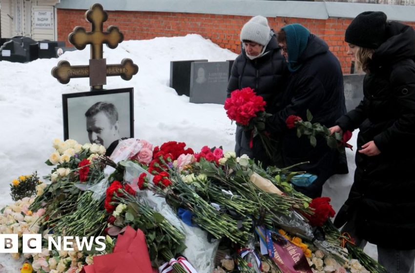  Mother of Alexei Navalny says poison finding confirms he was murdered – BBC