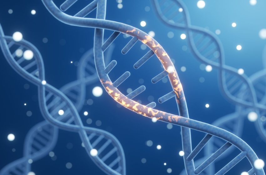  In a first, study links maternal genes to risk of pregnancy loss