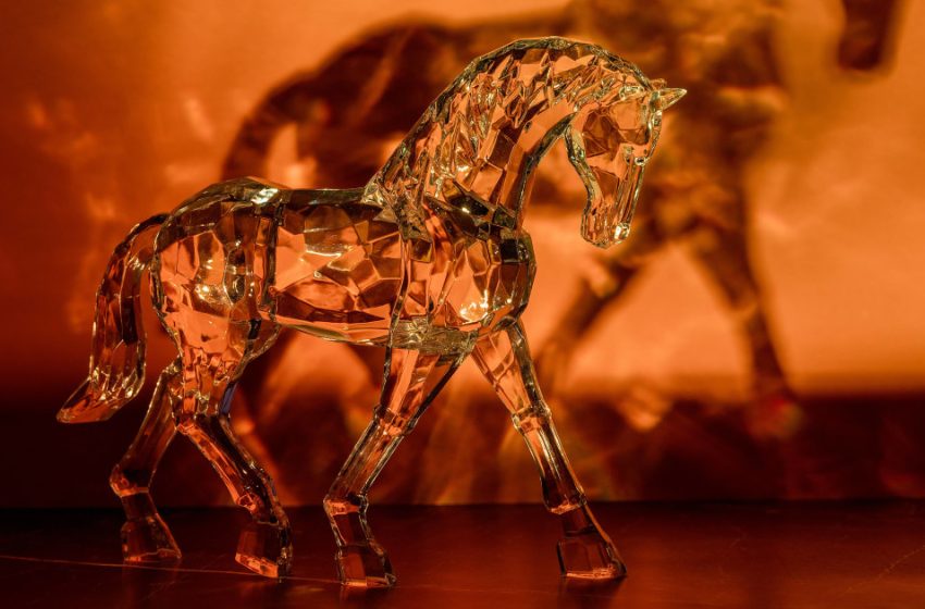  The Year of the Fire Horse is Here! What it Means For You This Lunar New Year
