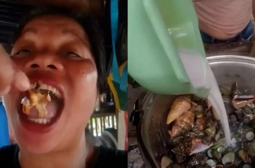  Food vlogger dies after eating poisonous “devil crab” for viral clip