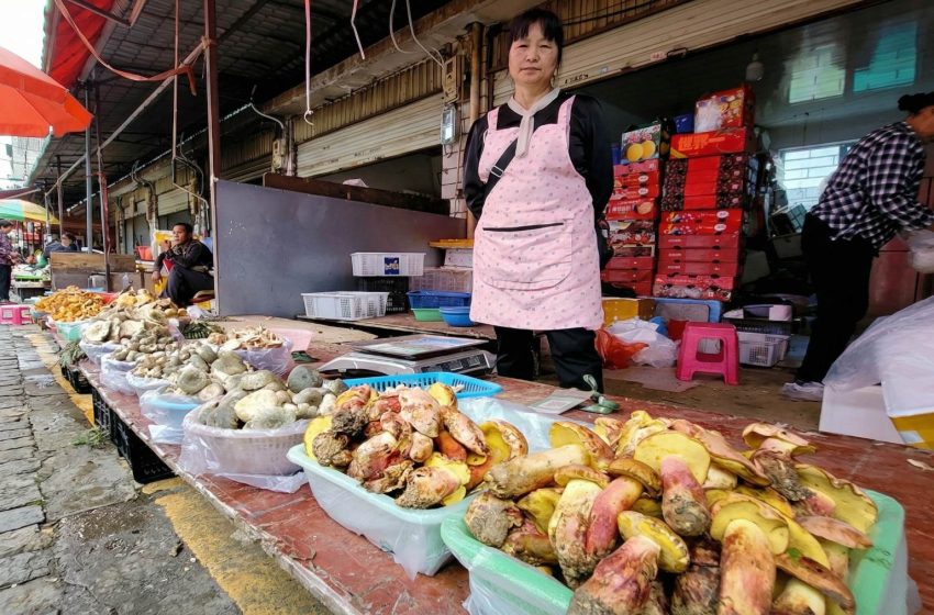  It’s official—this traditional Chinese dish triggers hallucinations of “tiny people” like Lilliputians