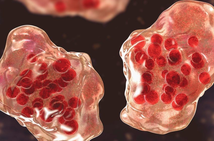  Orange County confirms second measles case in traveler who visited Disneyland, California Adventure