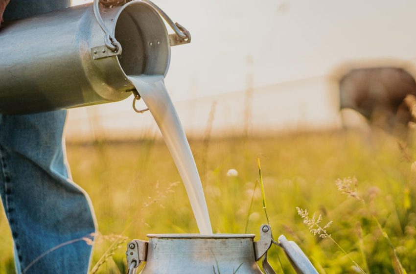  New Mexico warns against drinking raw milk after newborn dies from listeria
