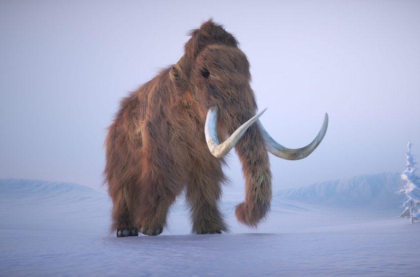  Dude Pulls Massive Prehistoric Mammoth Or Mastodon Femur Out Of River