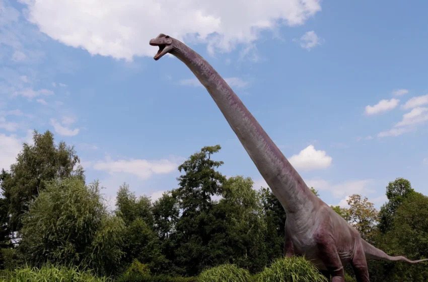  Scientists compared dinosaurs to mammals for decades but missed this key difference