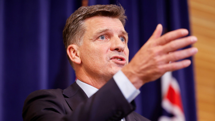  Former McKinsey partner to lead Australian opposition party