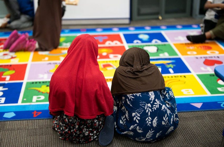  The real reason behind Minnesota’s Somali fraud scandal