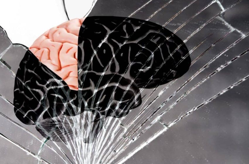  Forget Memory Loss, Scientists Found a Protein That Reverses Brain Aging, and It’s Already Inside Us