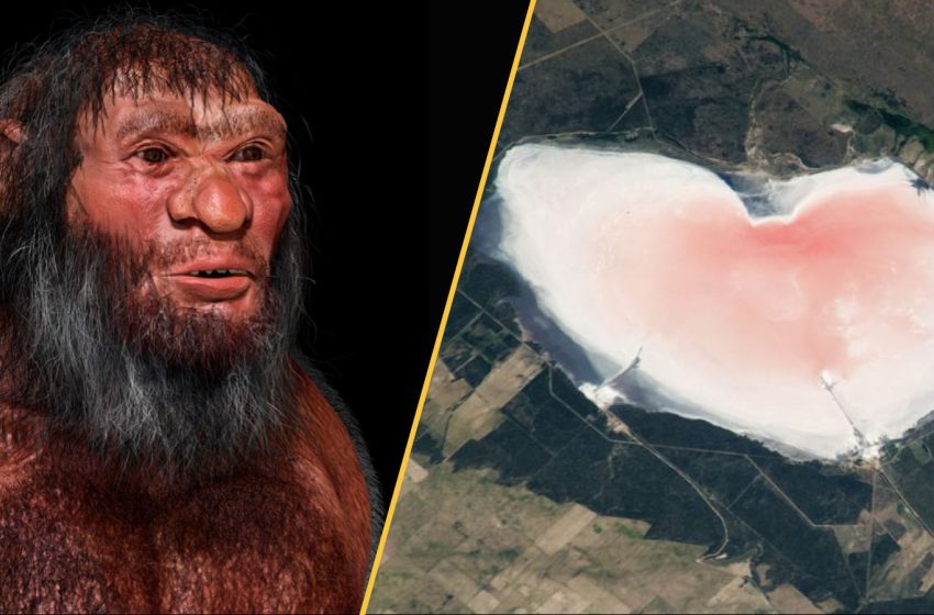  Science news this week: China turns a desert into a carbon sink, a Viking Age grave holds a giant who had brain surgery, real-life inception, and a last-minute Valentine’s gift idea from nature