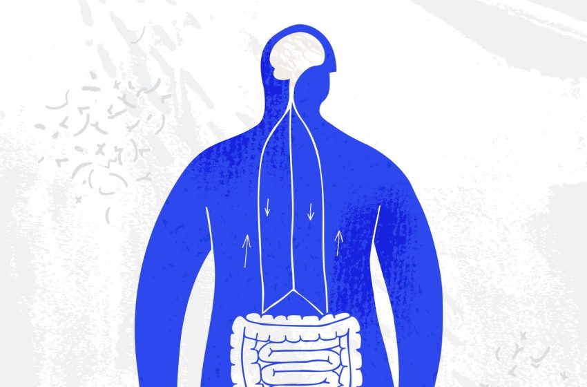  Why everyone is talking about the vagus nerve – and how it’s really affecting your health