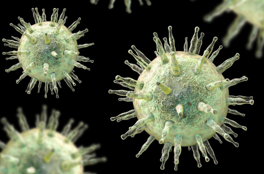  The ‘mono’ virus raises the risk of MS and cancer in some. 22 genes hint at why.
