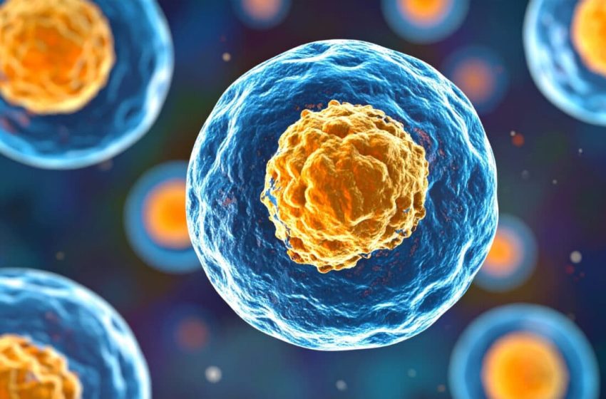  Scientists Found a Time Capsule Hidden Inside Your Cells, And It’s Recording Everything