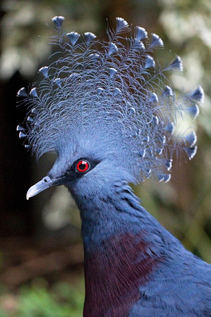 Behold, a cancer-increasing adaptation.