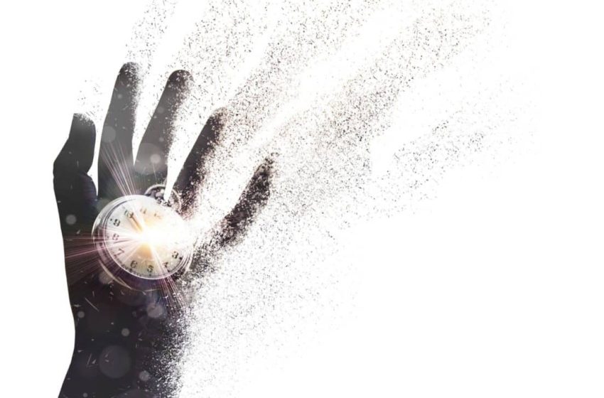  This Sea Creature Found the Secret to Immortality, and Now Scientists Want It