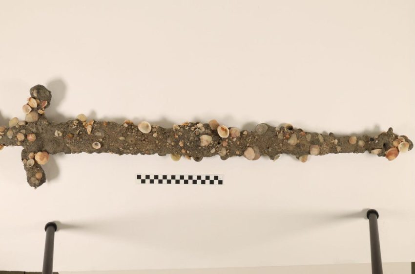  12th century Crusader sword discovered “by chance” by student off coast of Israel, university says