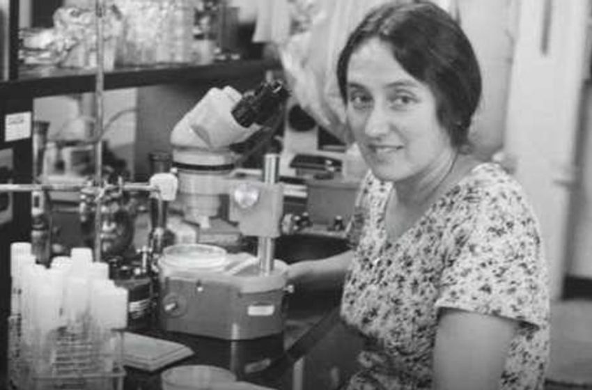  Her groundbreaking theory on the origin of life was rejected 15 times. Then biology proved her right.