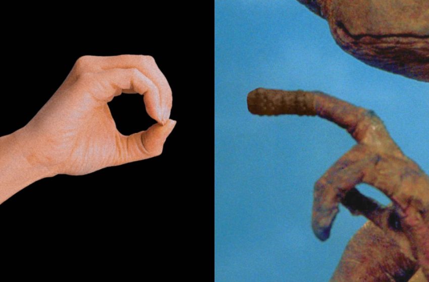  Love in low gravity: The surprisingly high stakes of sex in space