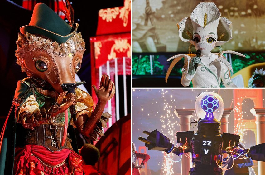  The Masked Singer Season 14 Cast Spoilers, Every Clue & Reveal — Calla Lily