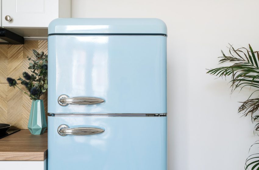  5 Refrigerator Brands To Avoid At All Costs, According To Consumer Reports