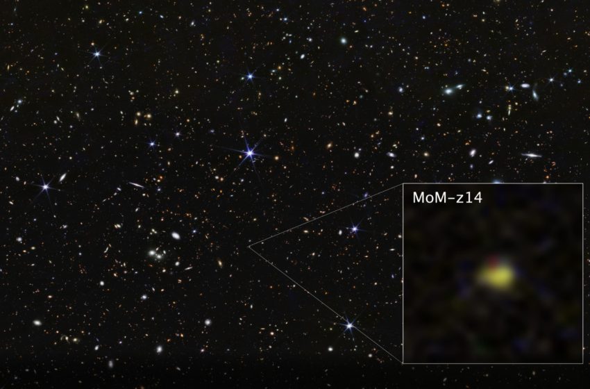  The Furthest Galaxy From Earth Has Scientists Baffled