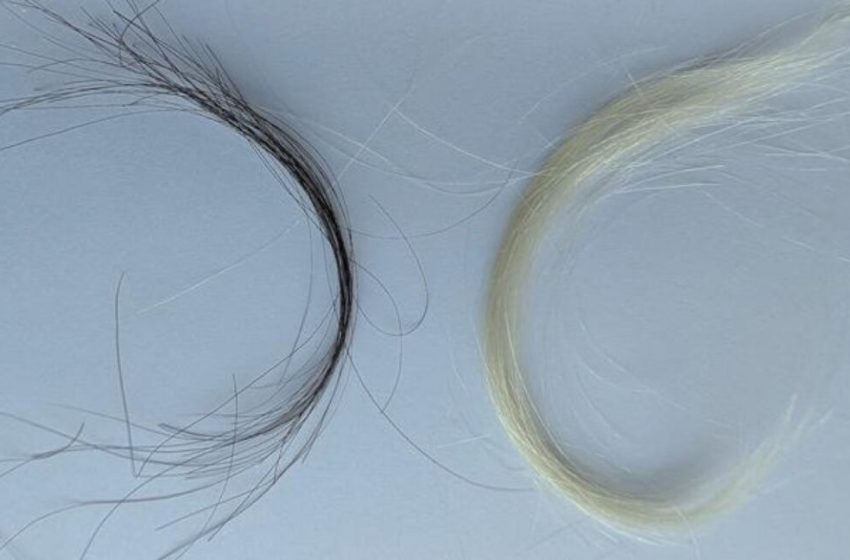  A century of hair samples proves leaded gas ban worked