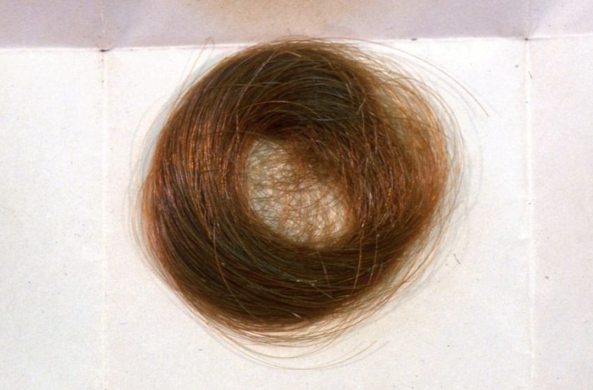  Mormon Hair Clippings Preserve Legacy of US Ban on Leaded Gas : ScienceAlert