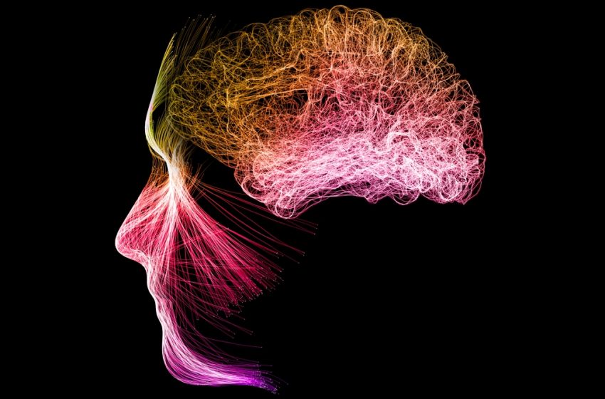  Meditation Can Reshape Your Brain Activity, Study Reveals : ScienceAlert