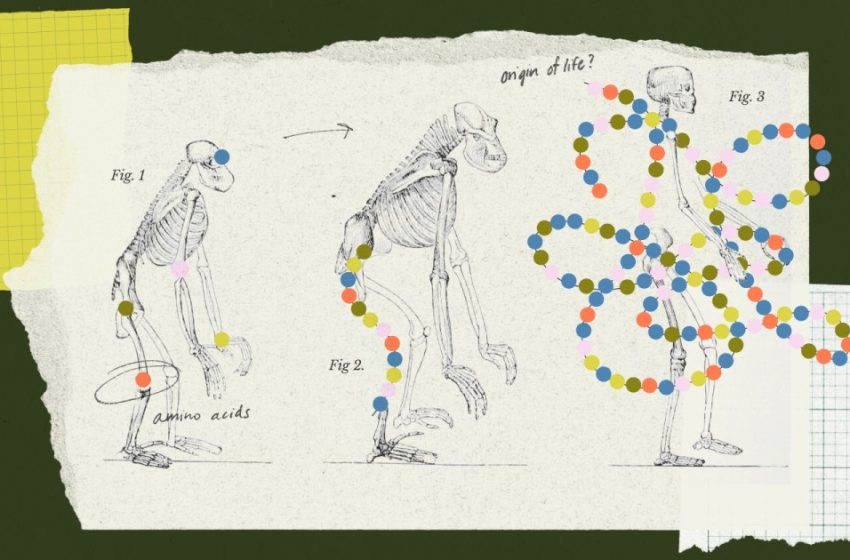  Metabolism, not cells or genetics, may have begun life on Earth
