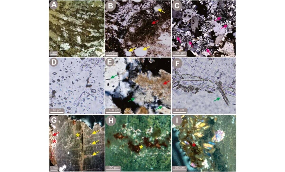 Microscale Descriptions Of Stromatolites