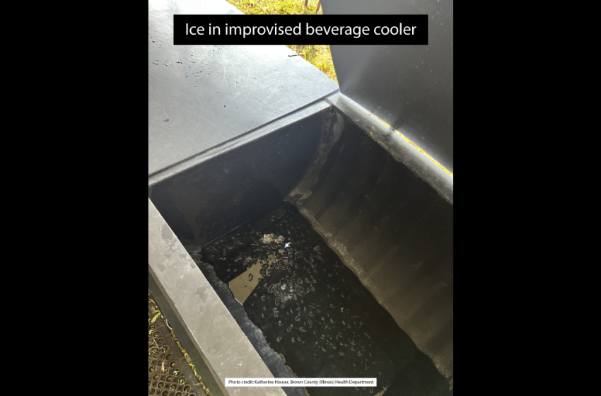 Multicounty Outbreak of Salmonella Agbeni Linked to Ice in a Cooler at a County Fair — Illinois, August 2024