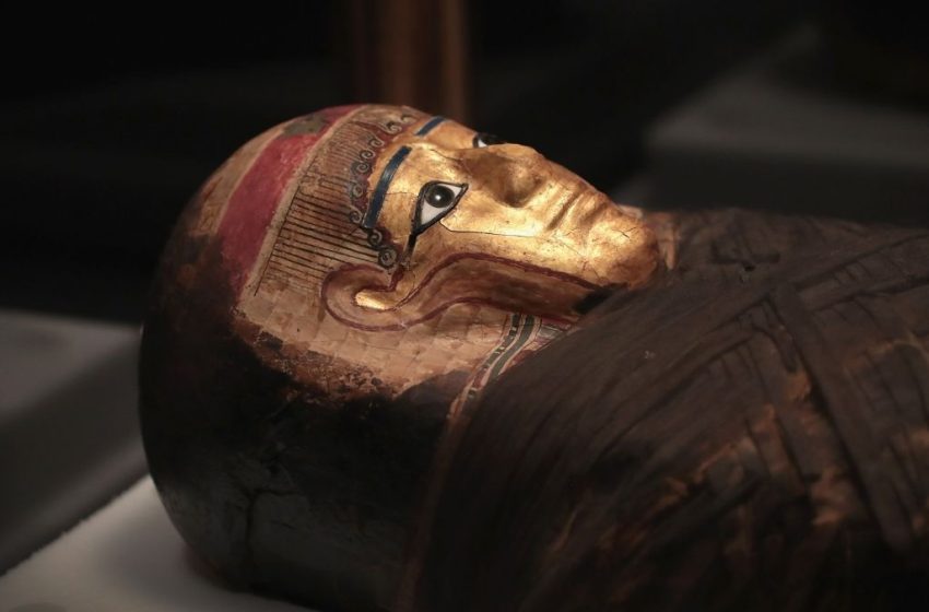  Scientists Are ‘Sniffing’ Ancient Egyptian Mummies. Here’s Why. : ScienceAlert