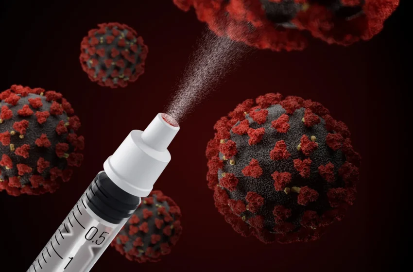  Scientists create universal nasal spray vaccine that protects against COVID, flu, and pneumonia
