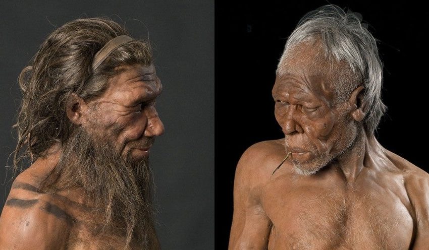  773,000-year-old Moroccan cave fossils reveal human and neandertal evolutionary split