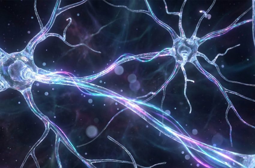  Long-term antidepressant effects of psilocybin linked to functional brain changes