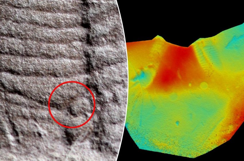  ‘Extremely rare’ fossilized anus discovered after 300-million-years