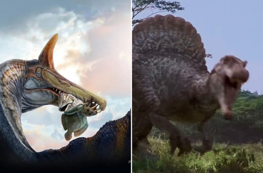  Scientists discover dino from ‘hell’ with sword protruding from head