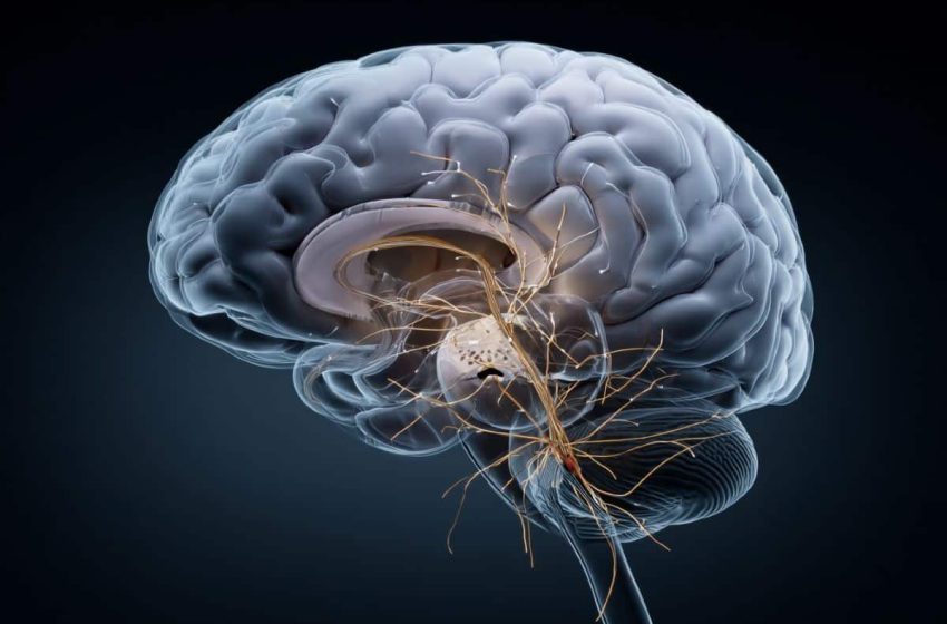  Brain Signal Linked to OCD Compulsions Identified
