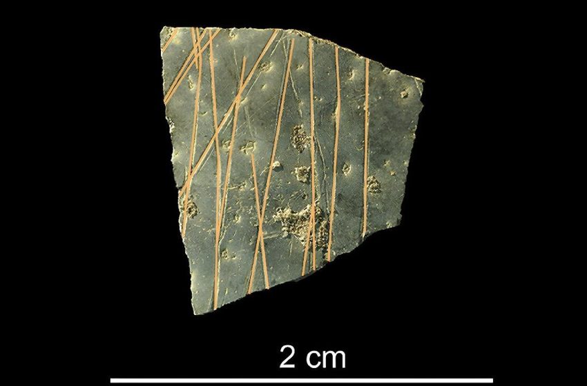  60,000-year-old ostrich eggshell engravings reveal humanity’s earliest geometric designs