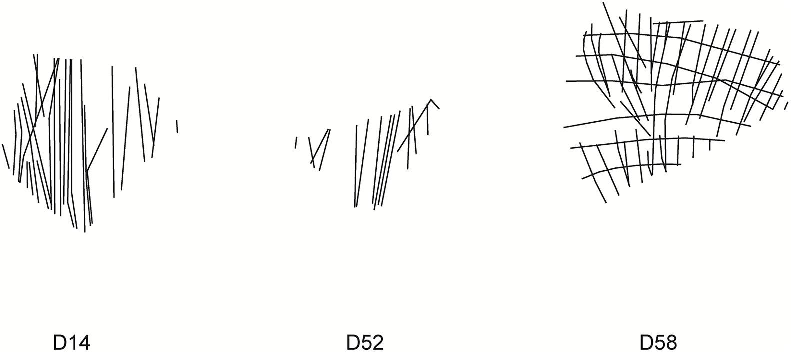 60,000-year-old ostrich eggshell engravings reveal humanity’s earliest geometric designs