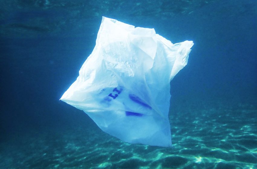  New plastic completely dissolves in seawater within hours