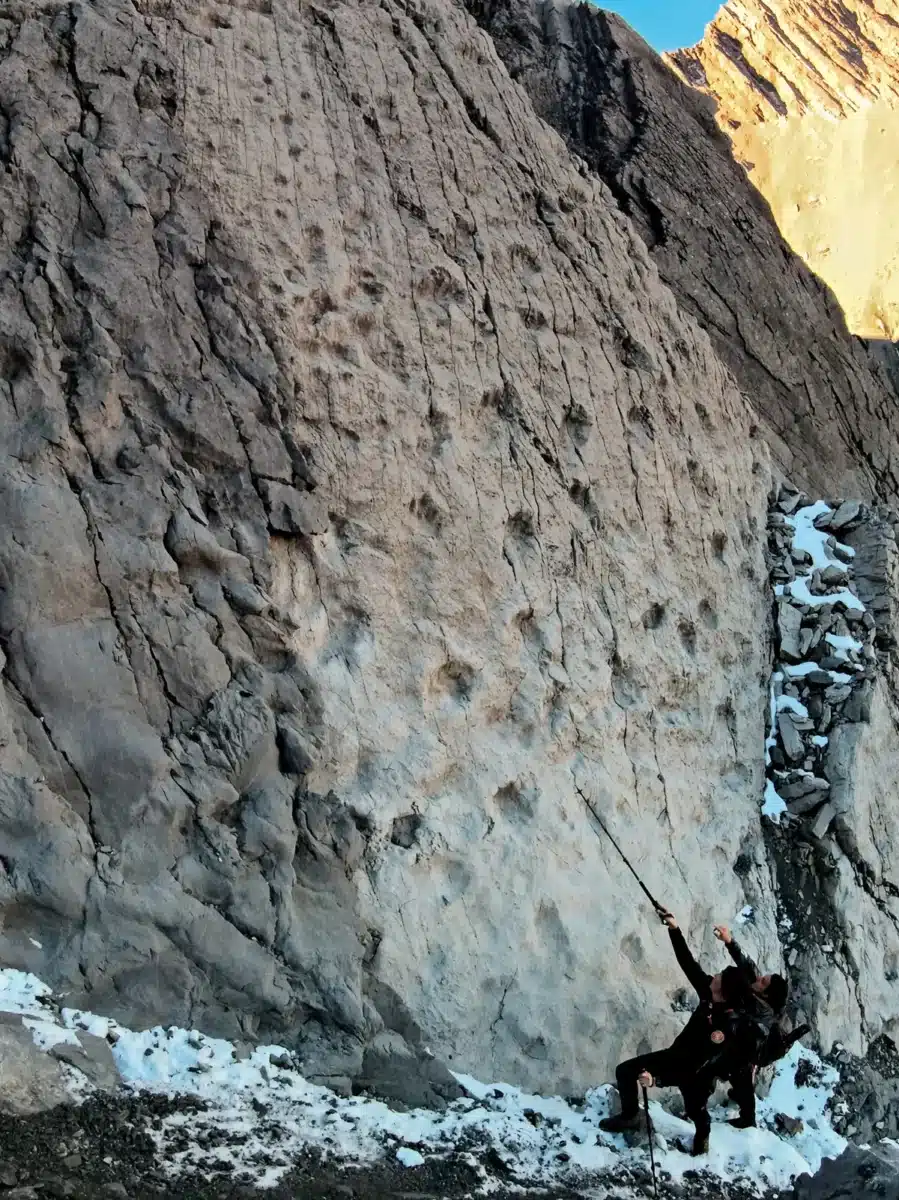 Pointing Things Out L