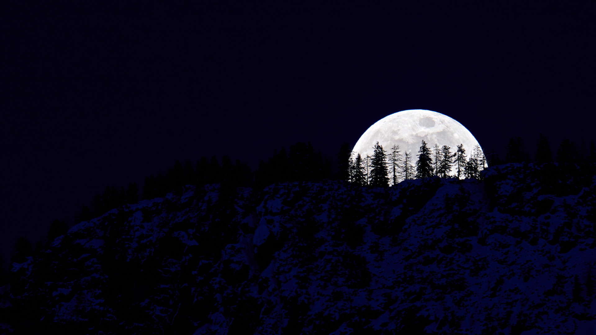 A full moon rises from behind a snowy hill lined with evergreen trees against a dark sky.